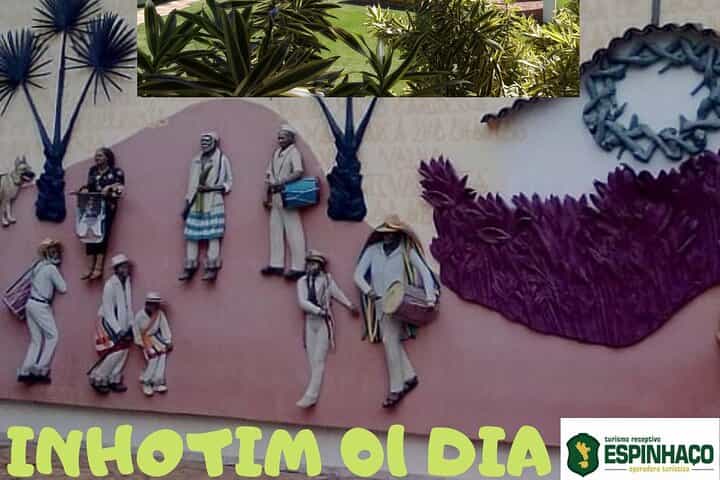 Instituto Inhotim 01 dia